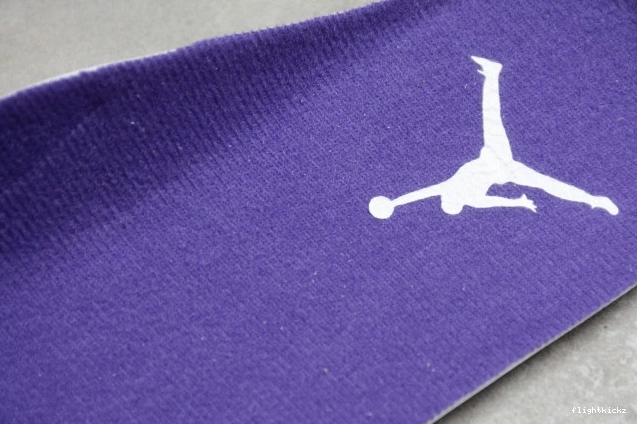 Court Purple Jordan 4 CT8527-115 Air 1112